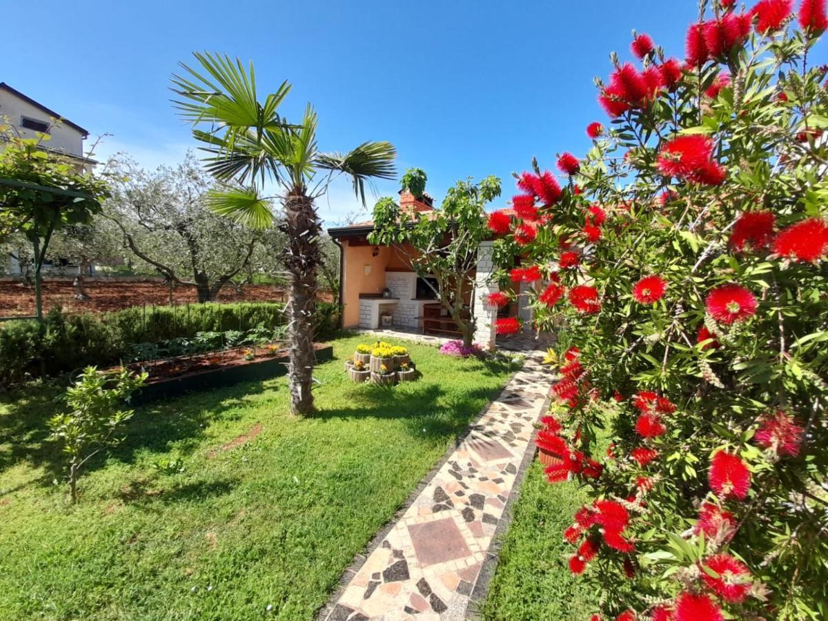 Haus Delphin Lägenhet Poreč Exteriör bild